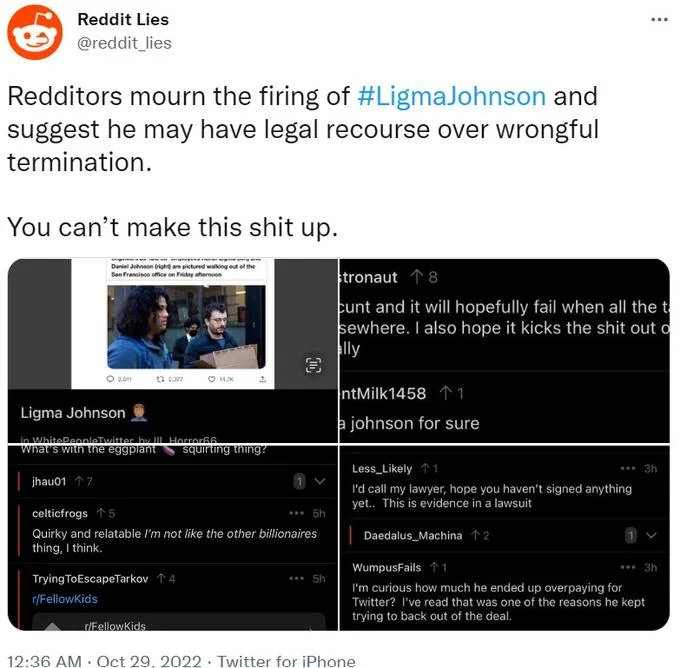 Reddit users unaware of the prank offered sympathy and legal advice to 'Ligma Johnson,' as documented in this viral tweet from the Reddit Lies account.
