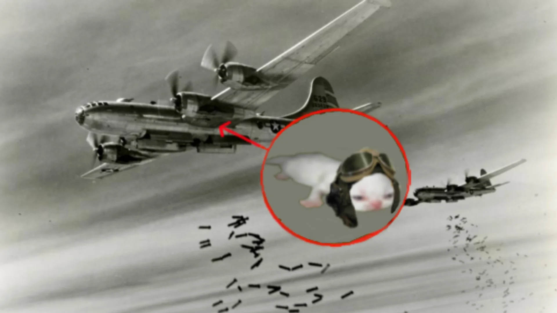 The cover image of the 'red circle perpetrators' meme, blaming a goggled kitten for a WWII bombing run.