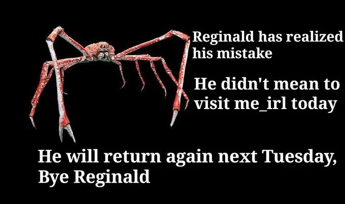 A follow-up meme depicting Reginald realizing he arrived on the wrong day.