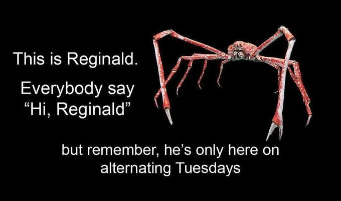 The foundational 'This is Reginald' meme that established the character and his alternating Tuesday appearances.