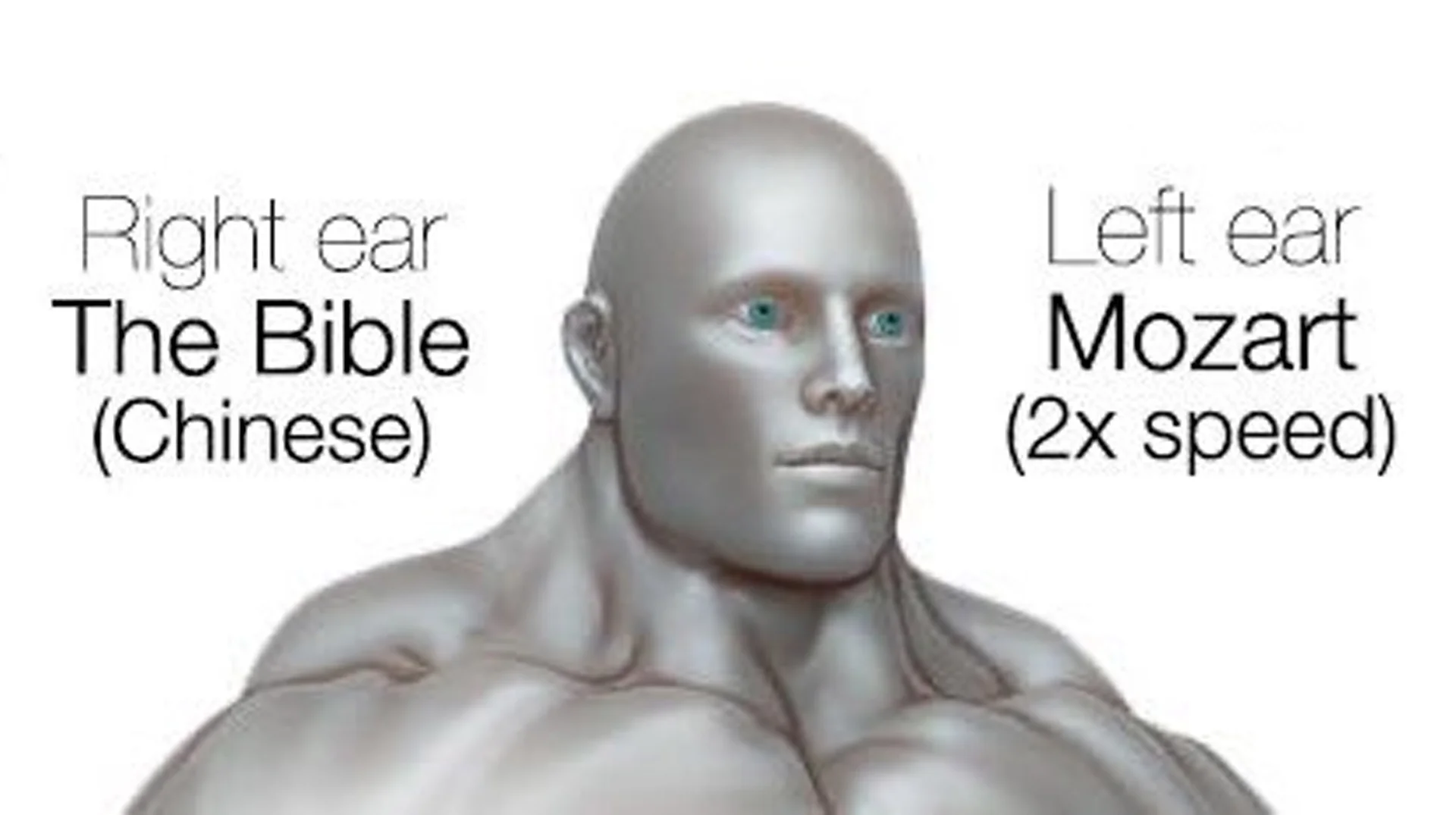 The canonical 'Right ear: The Bible (Chinese) / Left ear: Mozart (2x speed)' image that launched the meme format.