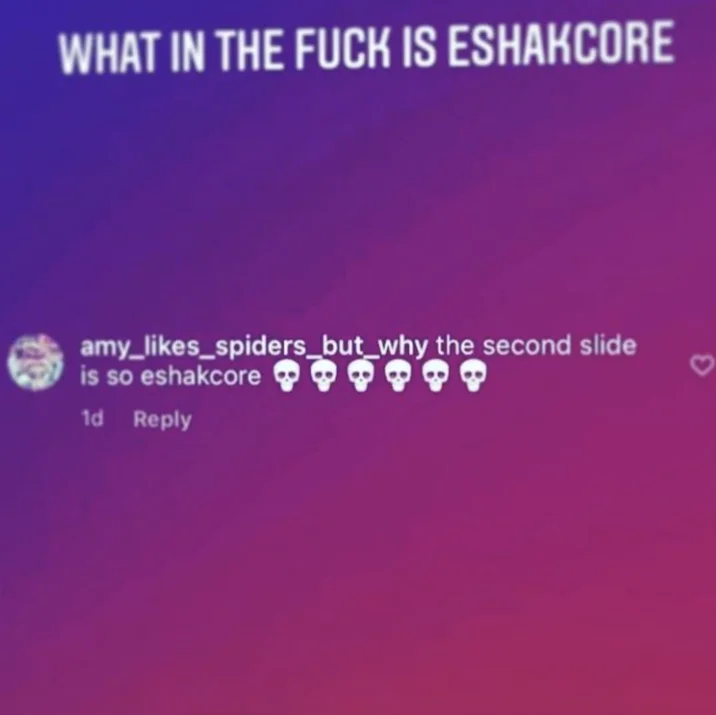 An Instagram comment edited with the Rio De Janeiro filter, part of the meme's viral spread across social platforms.
