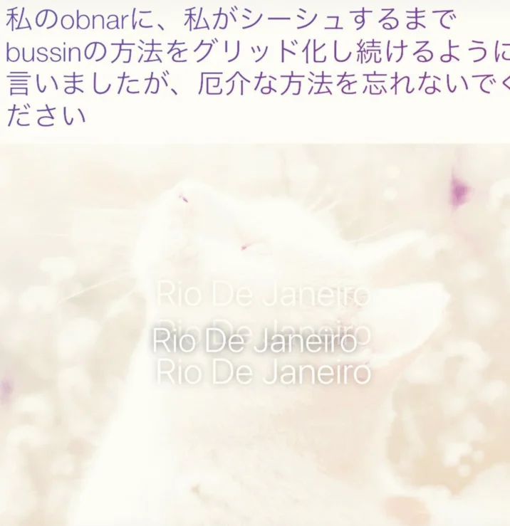 A Japanese-language variant of the Rio De Janeiro filter meme, showing the format's international reach.