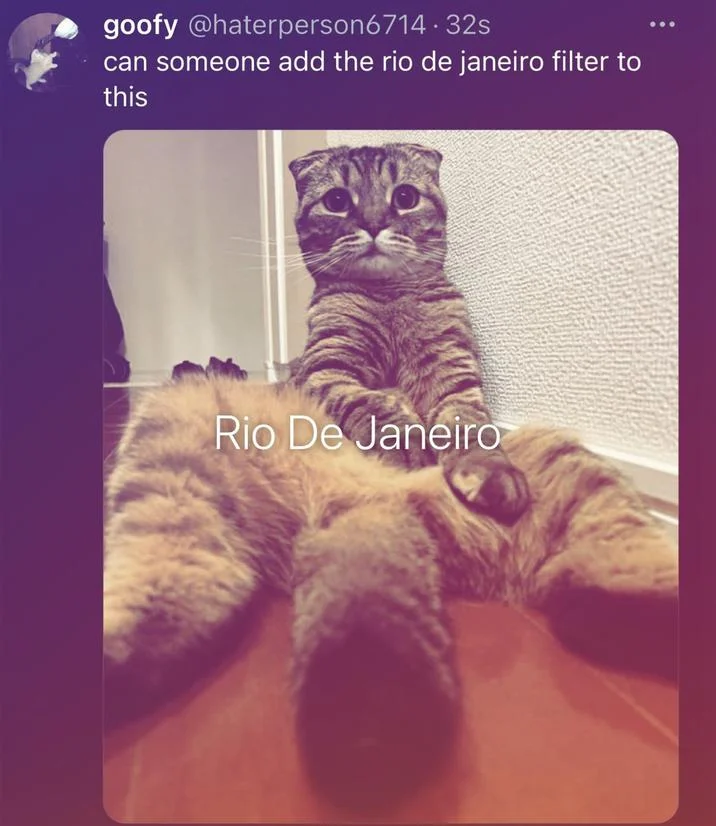 A tweet applying the Rio De Janeiro filter to a viral scared-cat image, demonstrating the meme's request-driven remix format.