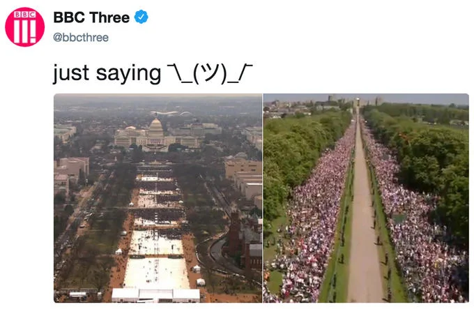 A tweet contrasting the beaming Sussexes with an indifferent cat, a common royal-wedding reaction format.