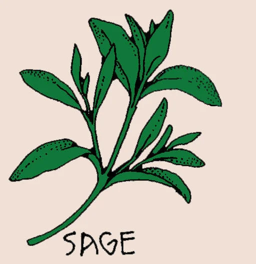 A hand-drawn depiction of an enraged imageboard user shouting 'SAGE' repeatedly, satirizing the practice of aggressive sage-bombing.