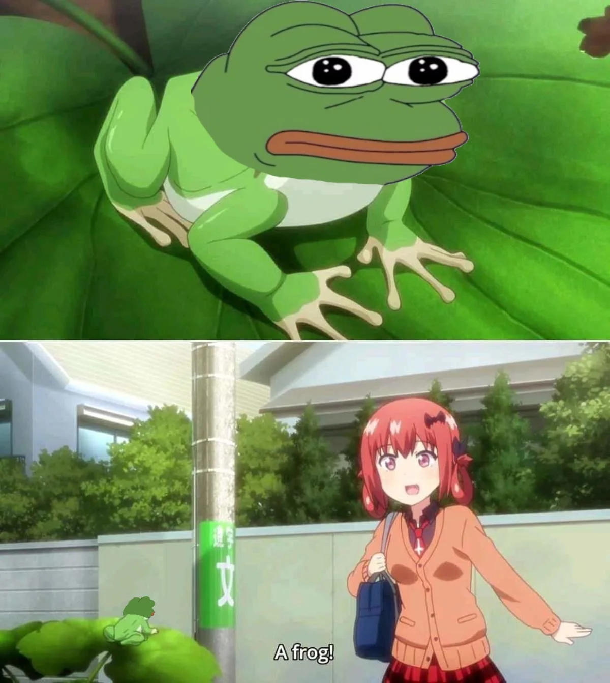 A fan-made meme combining a Gabriel DropOut scene where Satania spots a frog with the Pepe the Frog image macro.