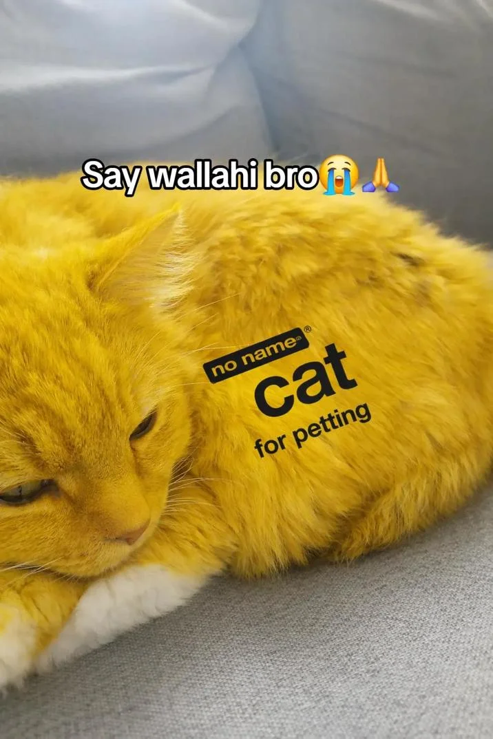A wholesome Say Wallahi bro variant applying the No Name label formula to a household cat.