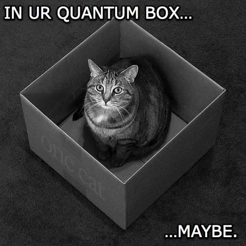 A stick-figure webcomic parody using the Schrödinger's cat concept to joke that a comic's funniness exists in superposition until observed.