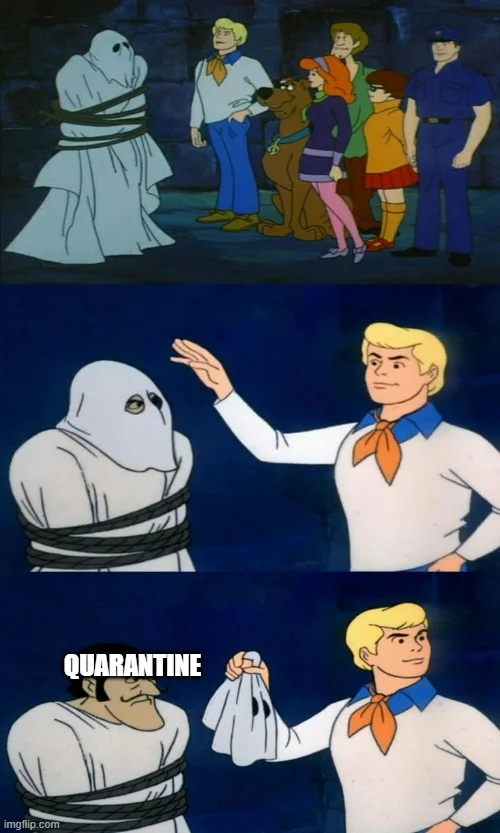 The quintessential Scooby-Doo unmasking meme template structure.