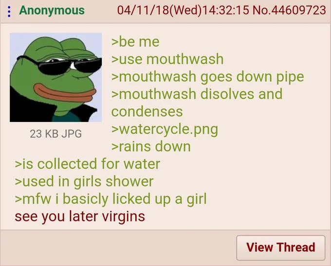 A 4chan greentext where the OP claims that his mouthwash re-entering the water cycle means he 'basically licked up a girl.'