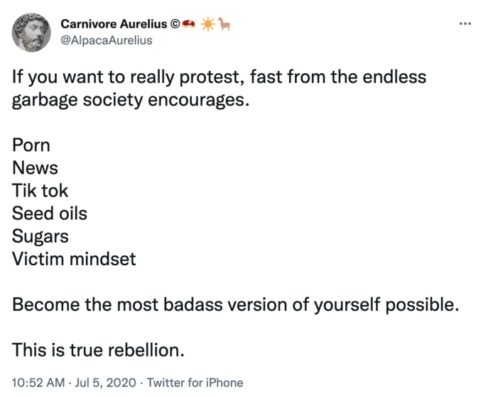 A Carnivore Aurelius tweet grouping seed oils with porn, news, and sugar as things to abstain from for self-improvement.