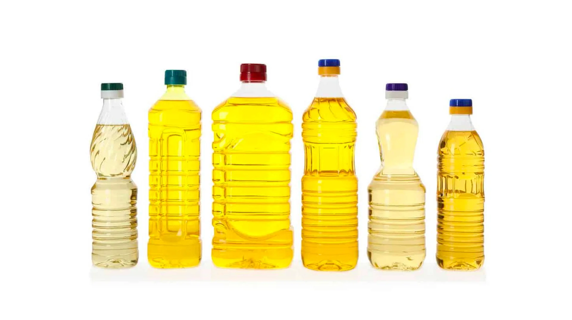 A collection of commercial seed oil bottles, the everyday cooking fats at the center of the online 'seed oils' controversy.