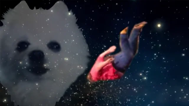 Dog's face with descending comet in space.