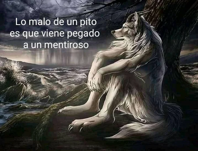 A Spanish-language meme placing a crude, ironic punchline over the melancholy Sitting Wolf backdrop.