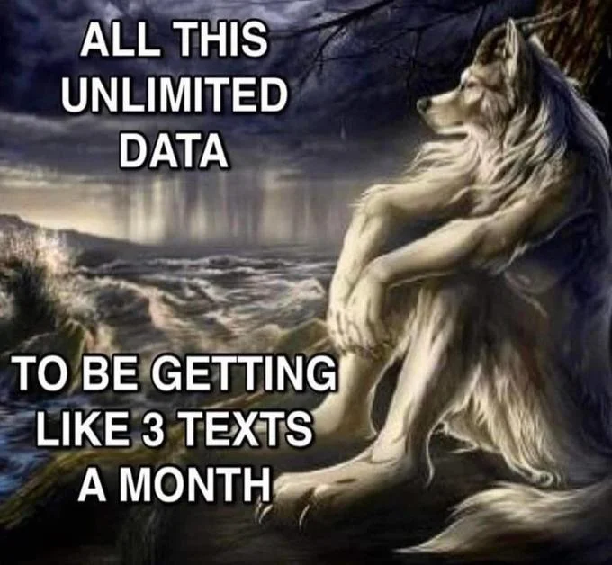 A popular English caption meme using Sitting Wolf to convey lonely, over-provisioned phone-plan humor.