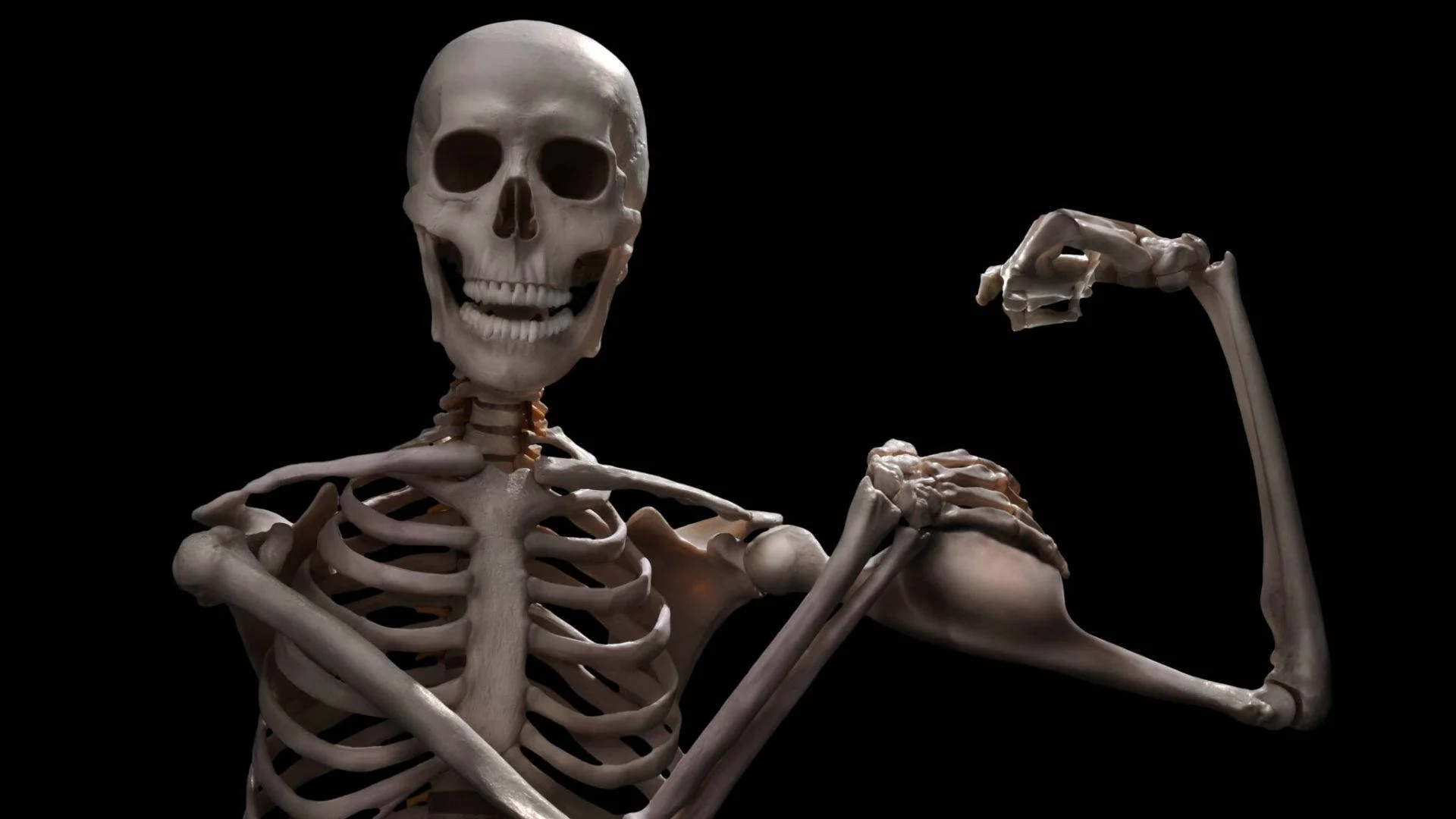 The banner image for the Skeletons meme entry, showing a 3D skeleton flexing in a playful bodybuilding pose.