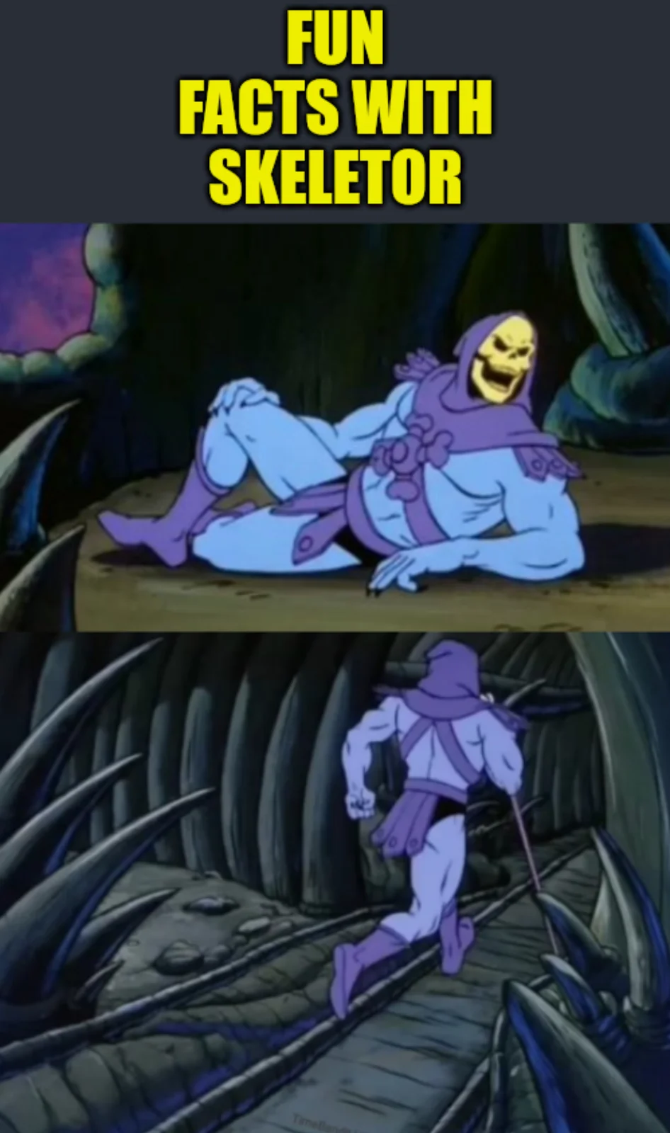 Skeletor's fun facts signature format.