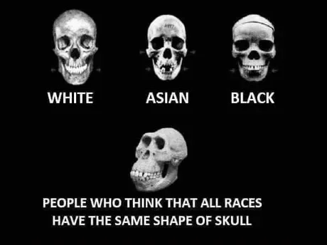 Satirizes pseudoscientific racism about skulls.