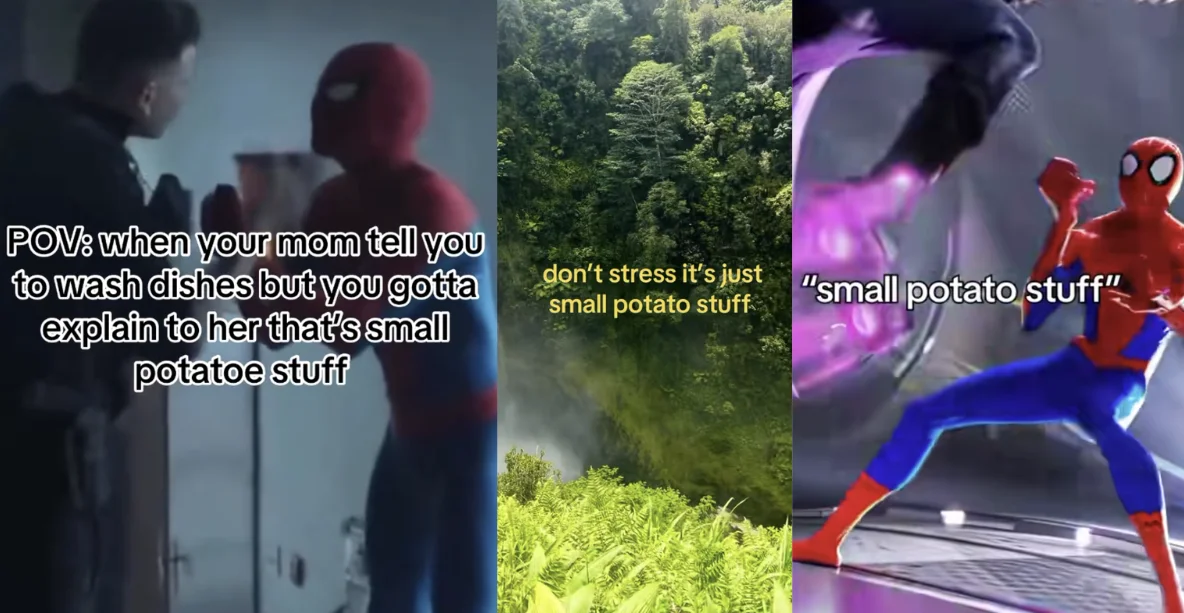 A collage of TikTok clips popularizing the 'small potato stuff' catchphrase, pairing the line with Spider-Man scenes and nature footage.