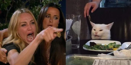 Classic Smudge the Cat meme template.