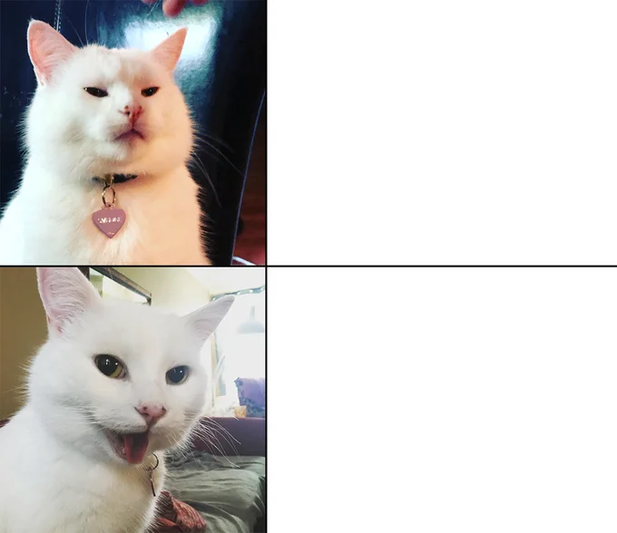 Smudge comparison meme template.