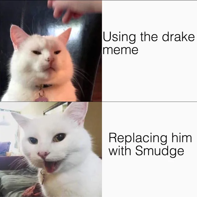 Smudge the Cat
