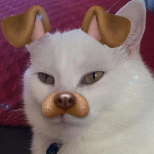 Humorous edited Smudge variant.