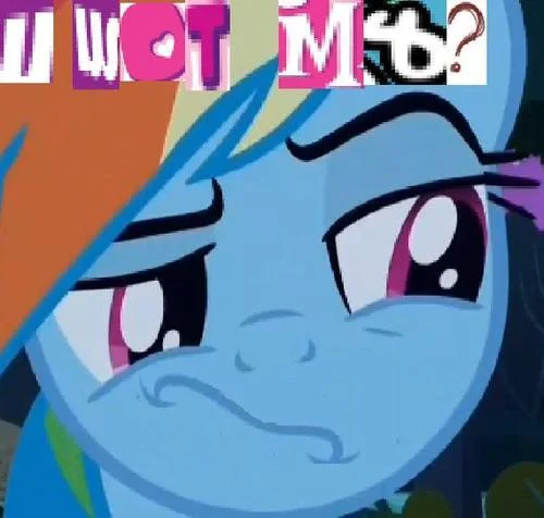 A meme variant pairing the Smugdash face with the confrontational 'U WOT M8?' catchphrase in ransom-note lettering.