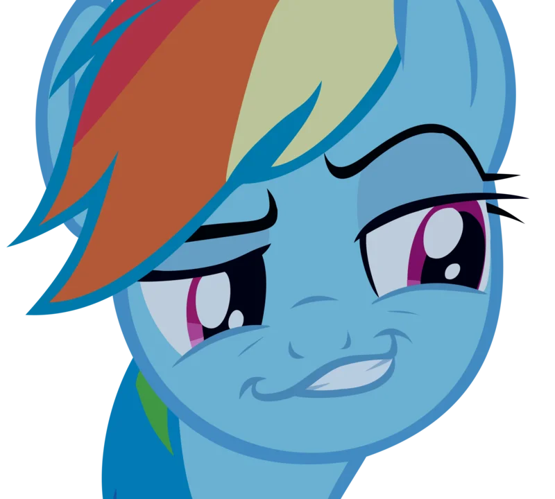 The definitive Smugdash face, a vectorized close-up of Rainbow Dash's smug expression that became the meme's iconic image.