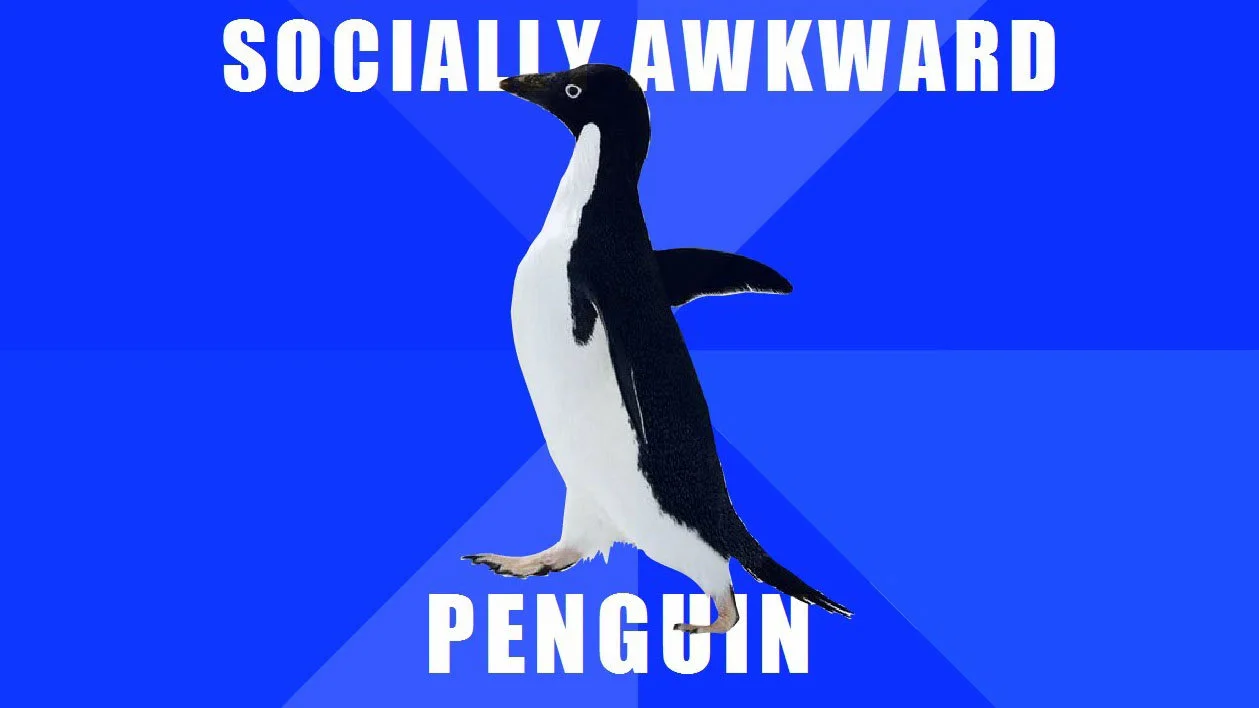 Primary Socially Awkward Penguin template.