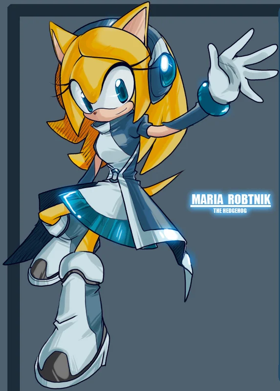 A fan character named 'Maria Robtnik the Hedgehog,' typical of the elaborate Sonic OCs the meme highlights.