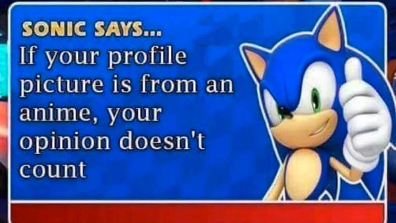 Primary Sonic Says anime criticism.