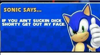 Sonic Says with crude humor variant.