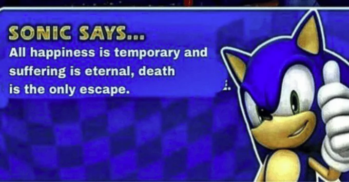 Sonic Says 2