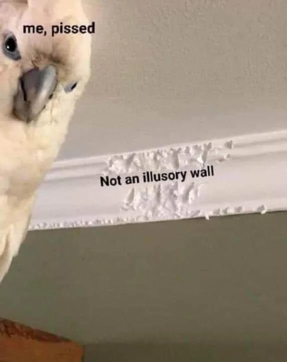 Cockatoo reacts to false wall messages.
