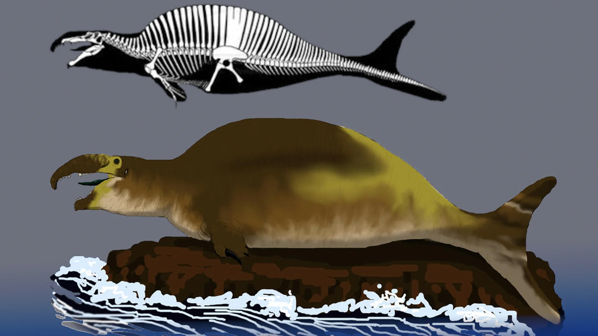 The infamous 'Spinofaarus' meme reconstruction depicting Spinosaurus as an awkward, blubbery aquatic form that became the poster child for jokes about the dinosaur being repeatedly nerfed.