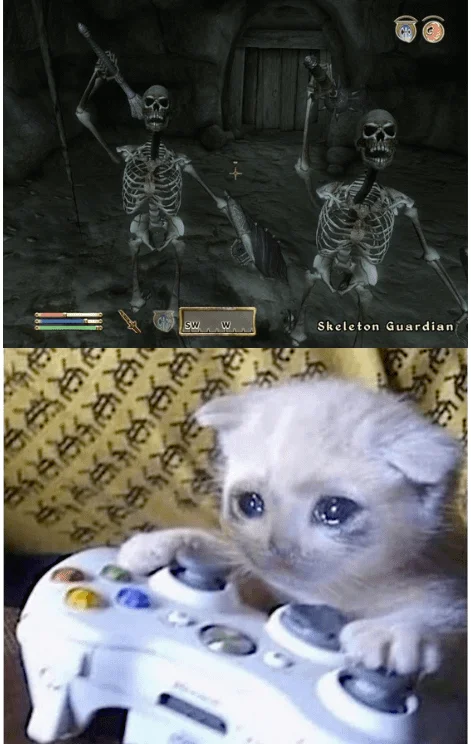 Video game skeleton terror meme.