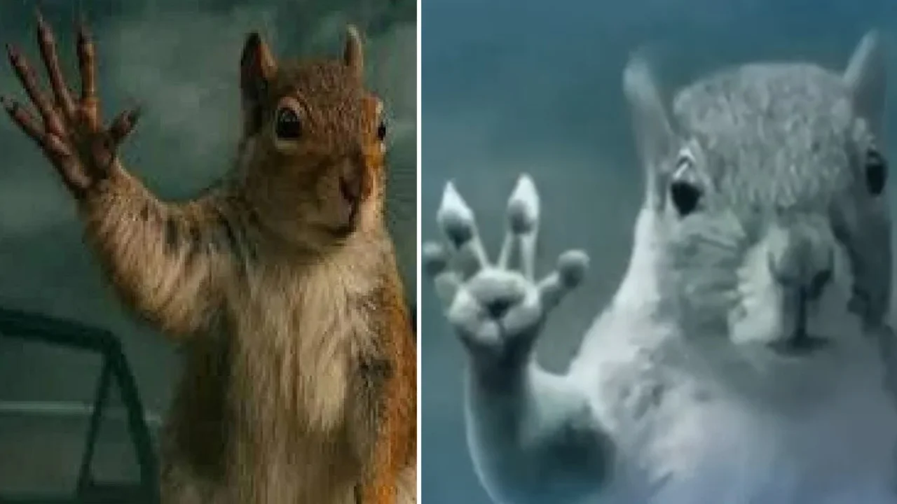 The Tornado Squirrel meme juxtaposes the waving CGI squirrel from Superman (2025) with the eerie underwater squirrel scene that became its viral counterpart.