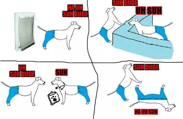 Dog daily life Suh Dude variations.