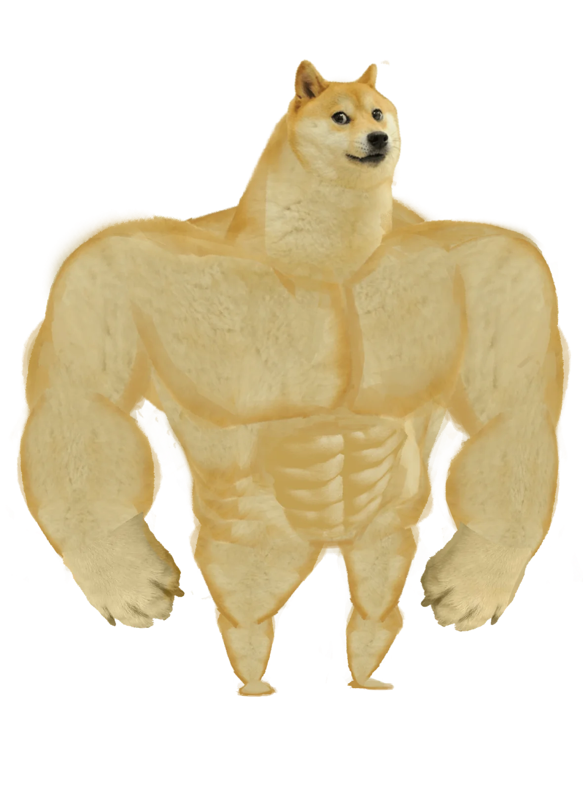 Classic Swole Doge template.