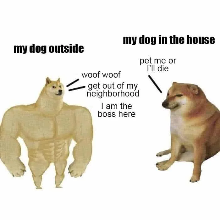 Outside territorial versus inside timid.