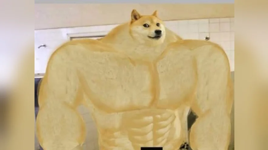 Professional Swole Doge art piece.