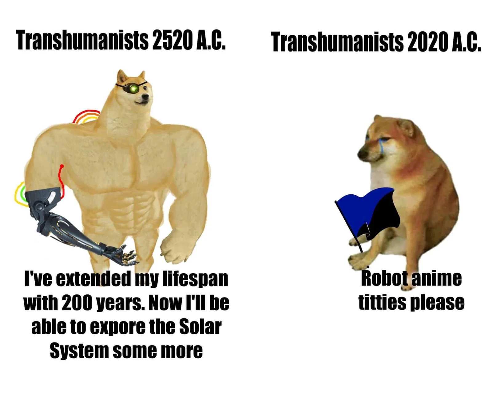 Swole Doge
