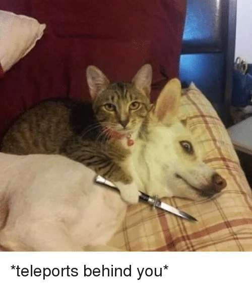 The archetypal 'katana weeaboo' photograph frequently paired with the 'teleports behind you' catchphrase.