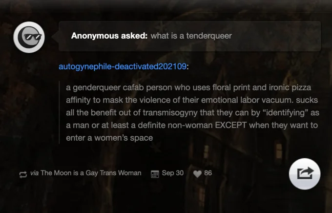An early Tumblr post from September 2015 offering an influential and pointed definition of the term 'tenderqueer'.
