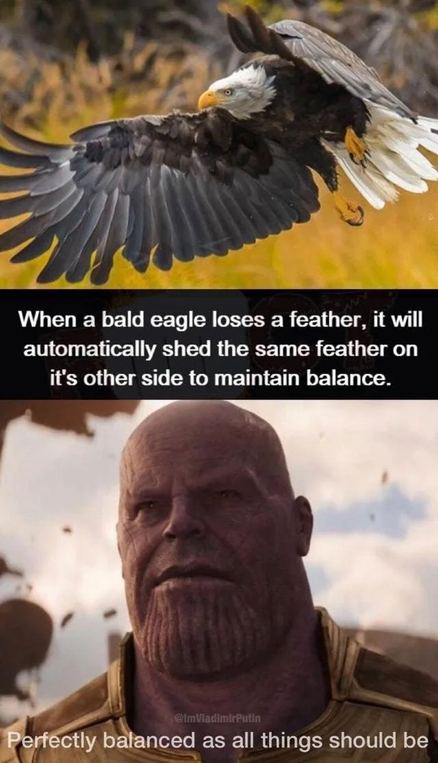 Thanos Perfectly Balanced