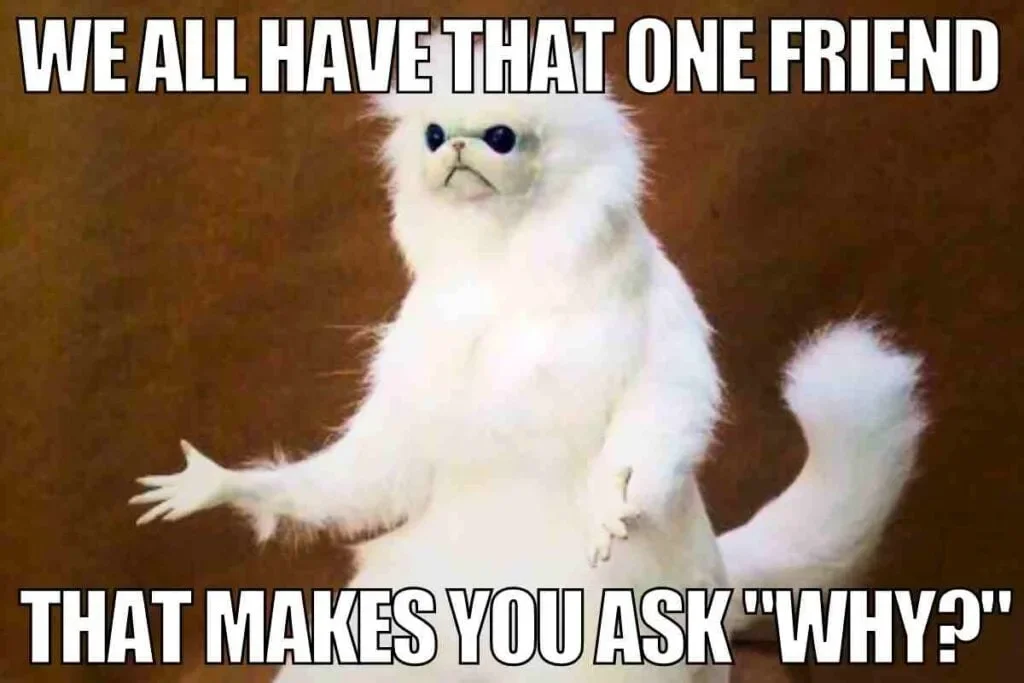 That inexplicable friend reaction meme.