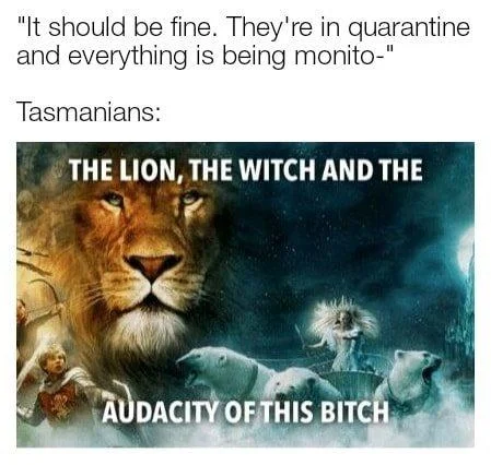 Most widely-recognized Narnia template.
