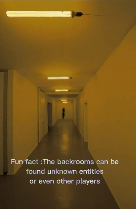 Real-world photo evoking Backrooms aesthetic with lore.